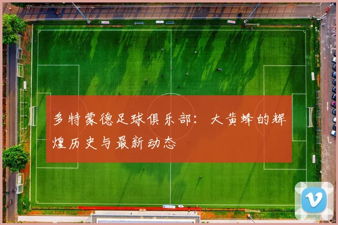 多特蒙德足球俱乐部：大黄蜂的辉煌历史与最新动态